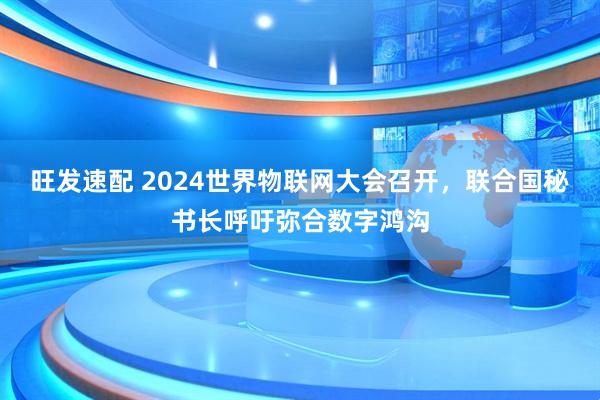 旺发速配 2024世界物联网大会召开，联合国秘书长呼吁弥合数字鸿沟