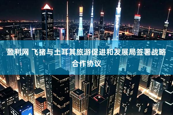 盈利网 飞猪与土耳其旅游促进和发展局签署战略合作协议