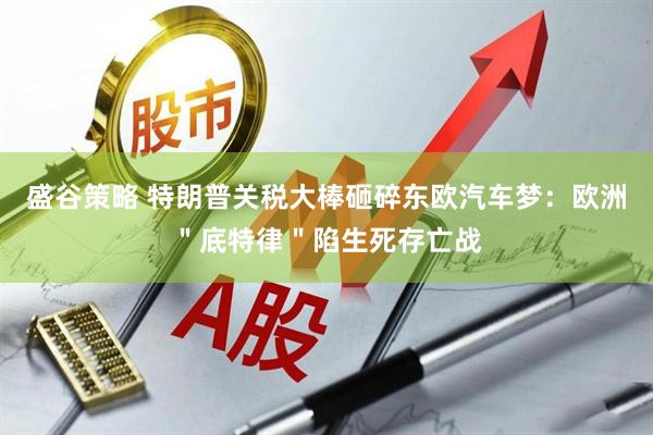 盛谷策略 特朗普关税大棒砸碎东欧汽车梦：欧洲＂底特律＂陷生死存亡战