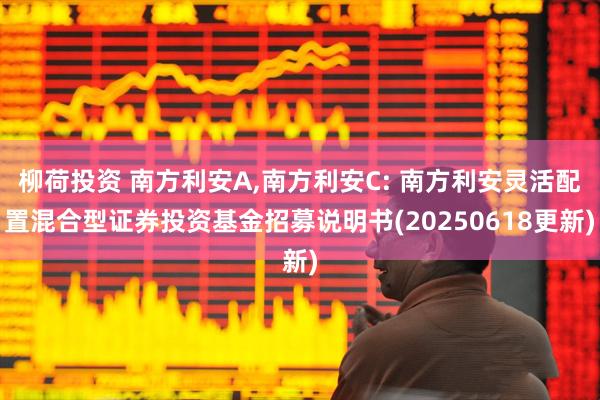 柳荷投资 南方利安A,南方利安C: 南方利安灵活配置混合型证券投资基金招募说明书(20250618更新)
