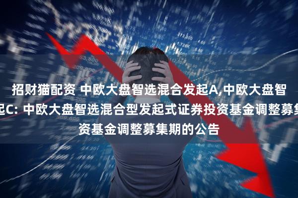 招财猫配资 中欧大盘智选混合发起A,中欧大盘智选混合发起C: 中欧大盘智选混合型发起式证券投资基金调整募集期的公告
