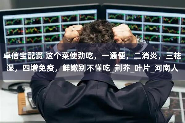 卓信宝配资 这个菜使劲吃，一通便，二消炎，三祛湿，四增免疫，鲜嫩别不懂吃_荆芥_叶片_河南人