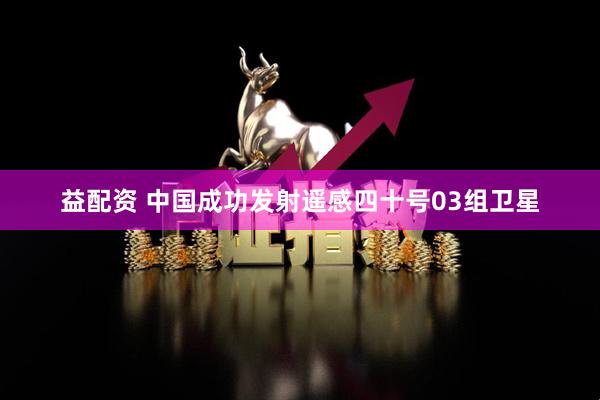益配资 中国成功发射遥感四十号03组卫星