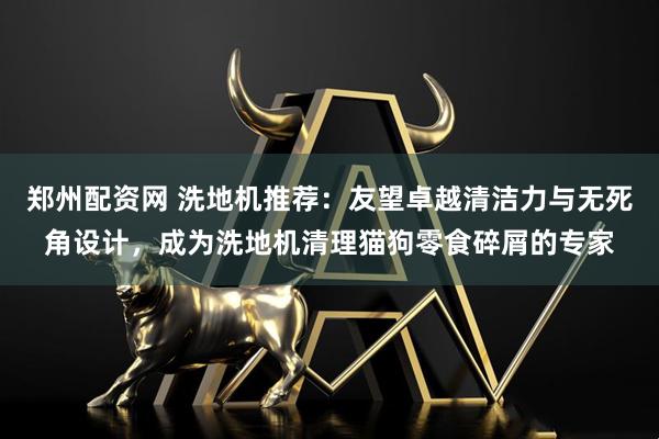 郑州配资网 洗地机推荐：友望卓越清洁力与无死角设计，成为洗地机清理猫狗零食碎屑的专家