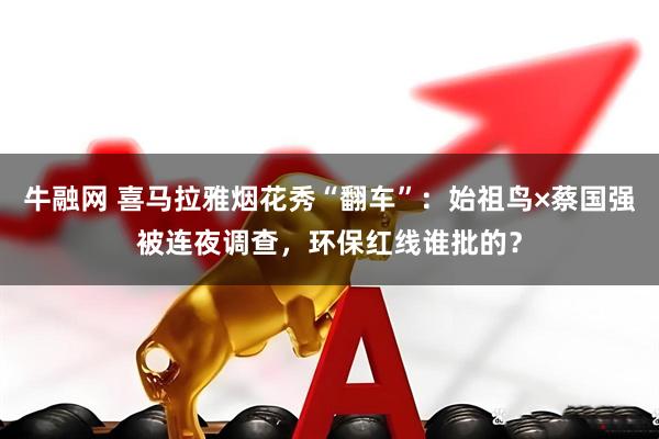 牛融网 喜马拉雅烟花秀“翻车”：始祖鸟×蔡国强被连夜调查，环保红线谁批的？