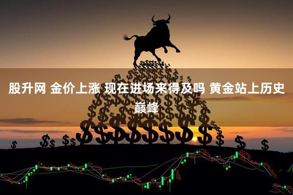 股升网 金价上涨 现在进场来得及吗 黄金站上历史巅峰