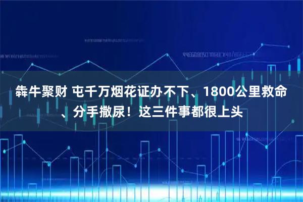犇牛聚财 屯千万烟花证办不下、1800公里救命、分手撒尿！这三件事都很上头