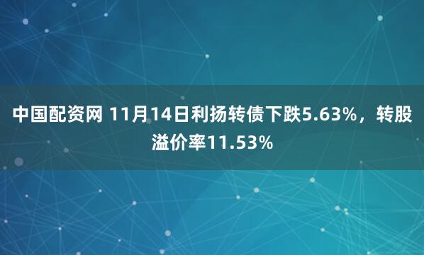 中国配资网 11月14日利扬转债下跌5.63%,转股溢价率11.53%