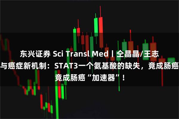东兴证券 Sci Transl Med丨仝晶晶/王志华破解炎症与癌症新机制:STAT3一个氨基酸的缺失,竟成肠癌“加速器”!