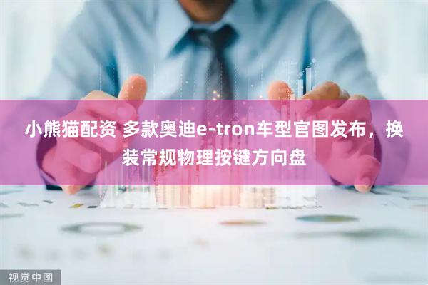 小熊猫配资 多款奥迪e-tron车型官图发布,换装常规物理按键方向盘